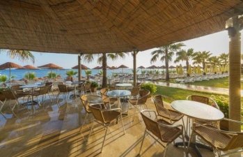 GARDEN BAR
